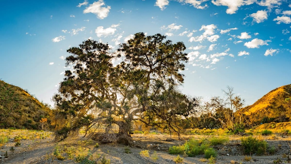 Los Angeles County, California