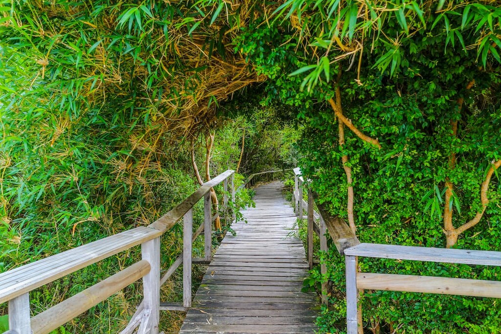 Chiloe National Park
