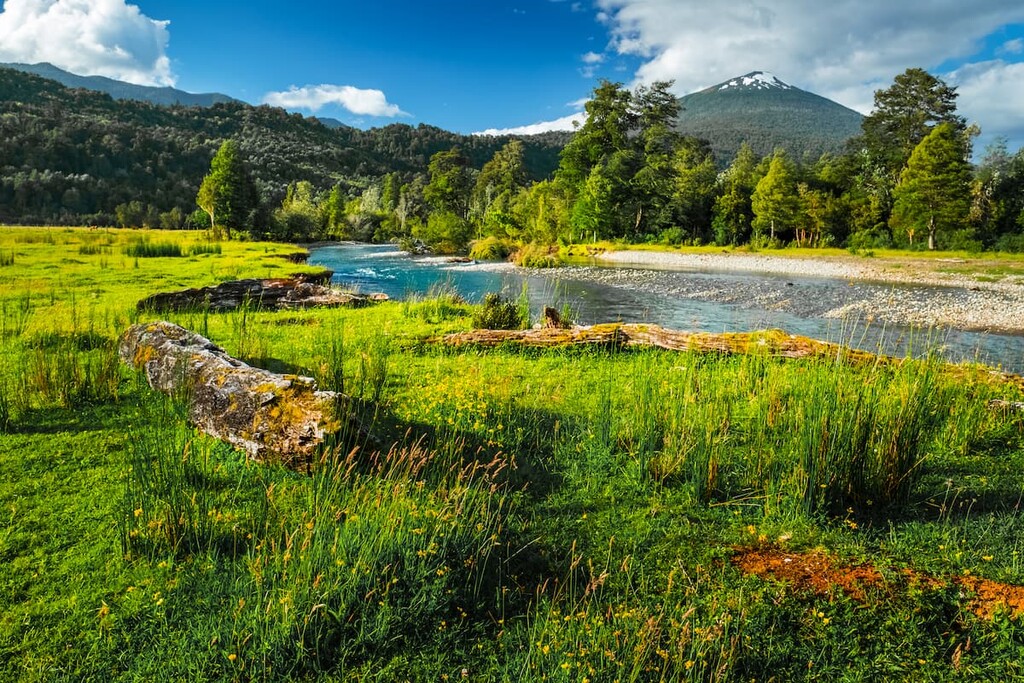 Volcano of Hornopiren and green meadow with river. Chile
