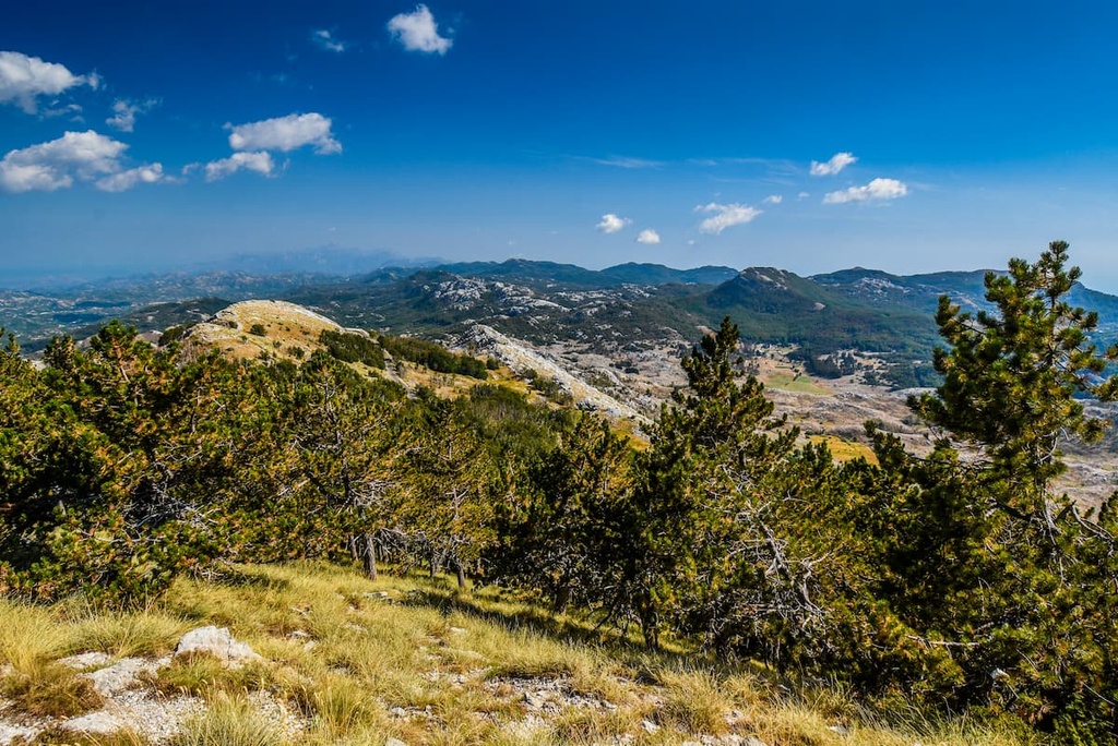 Lovcen National Park, Montenegro