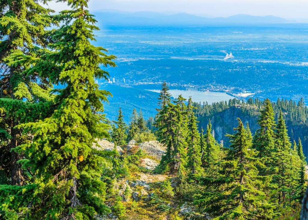 Lower Seymour Conservation Reserve, British Columbia