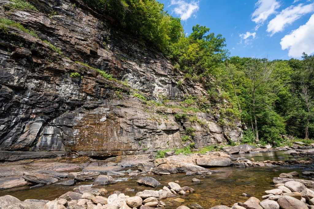 Loyalsock State Forest