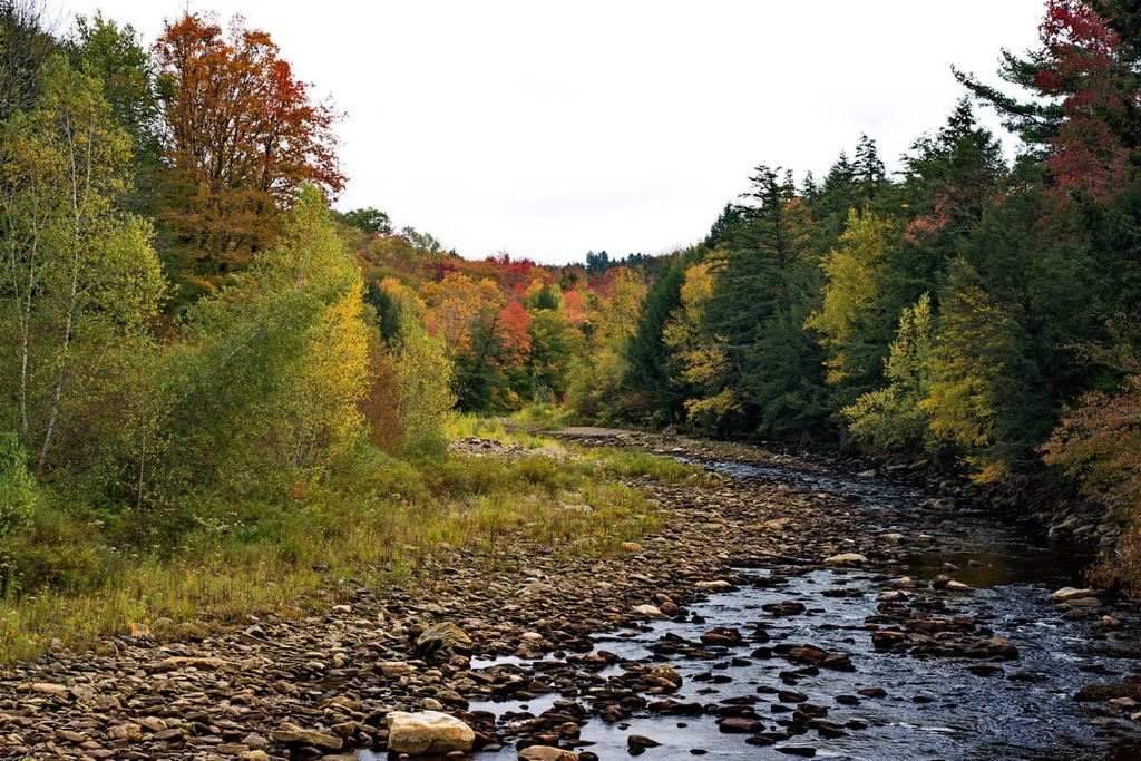 Loyalsock State Forest, Pennsylvania