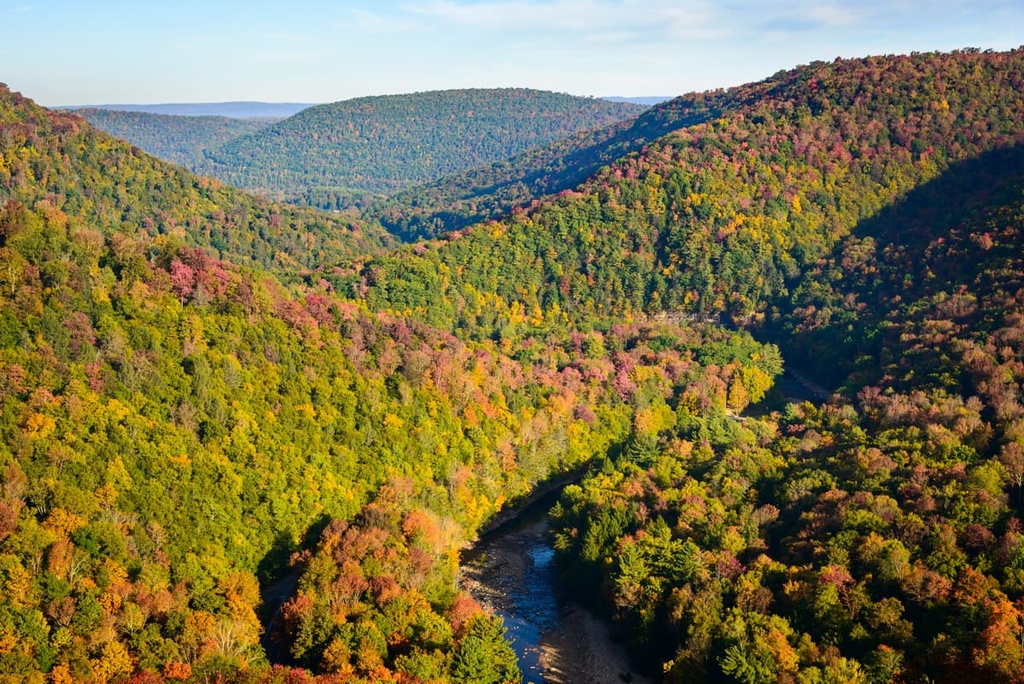 Loyalsock State Forest, Pennsylvania