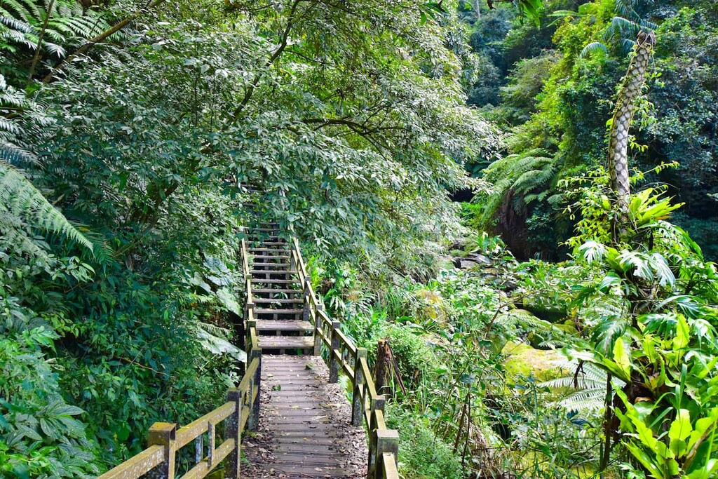 Lujiaokeng Ecological Reserve, Taiwan