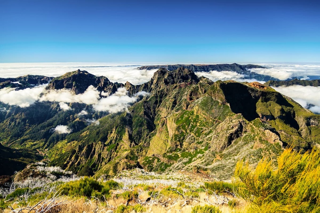 Madeira Island Eastern mountainous massif Special Protection Area