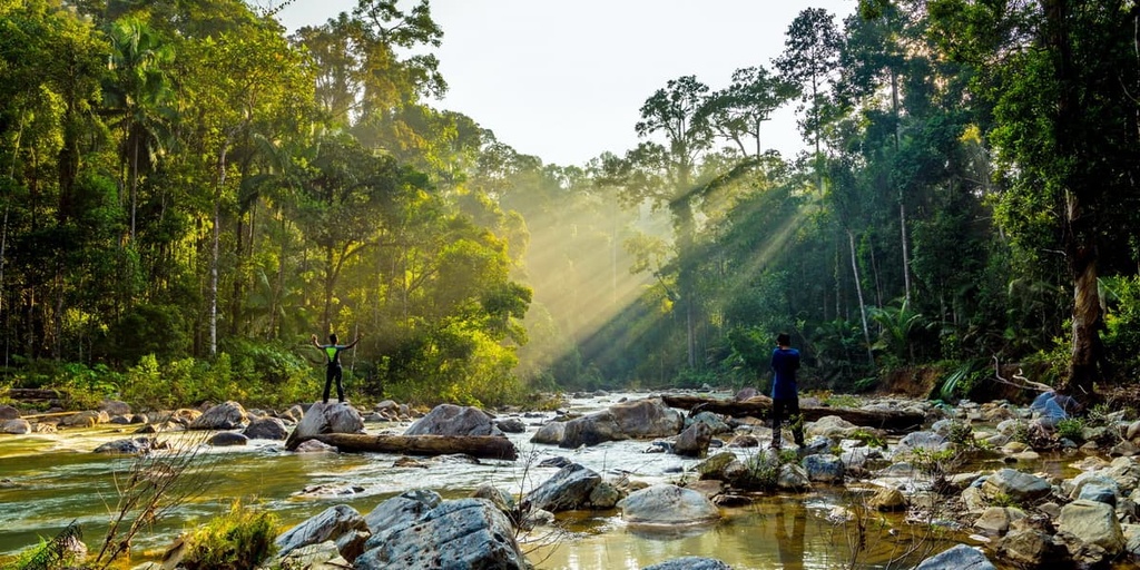 Endau-Rompin National Park, Malaysia