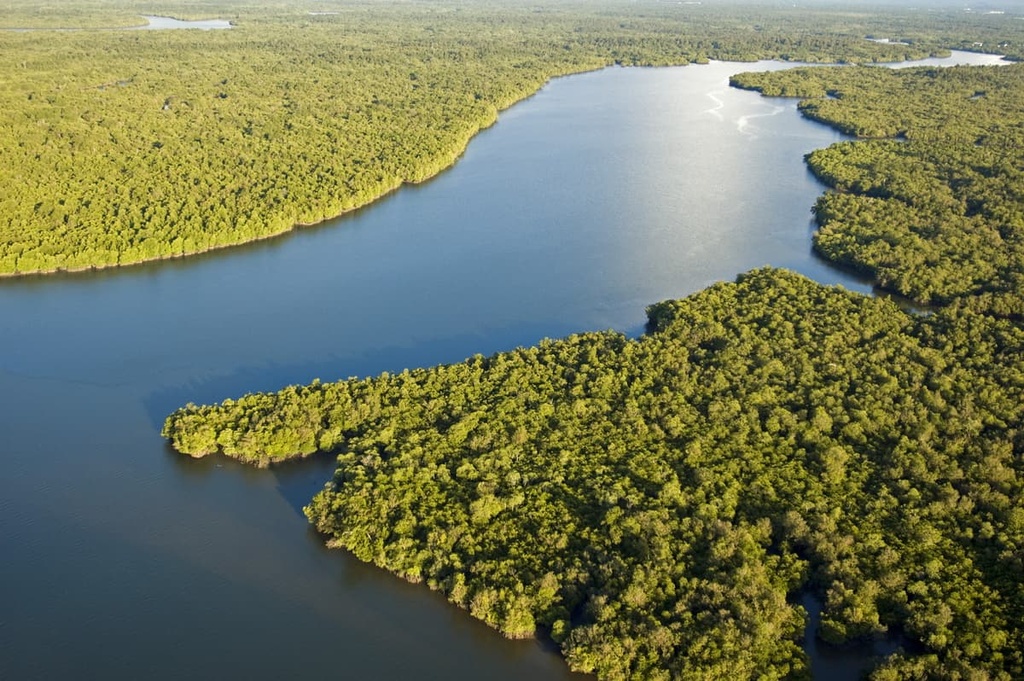 Sarawak River, Borneo, Malaysia