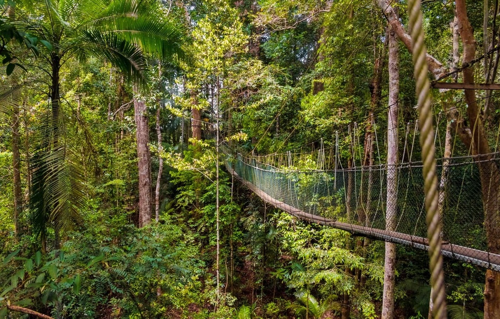 Taman Negara, Malaysia
