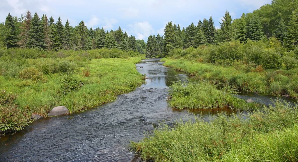 Riding Mountain National Park, Manitoba, Canada 