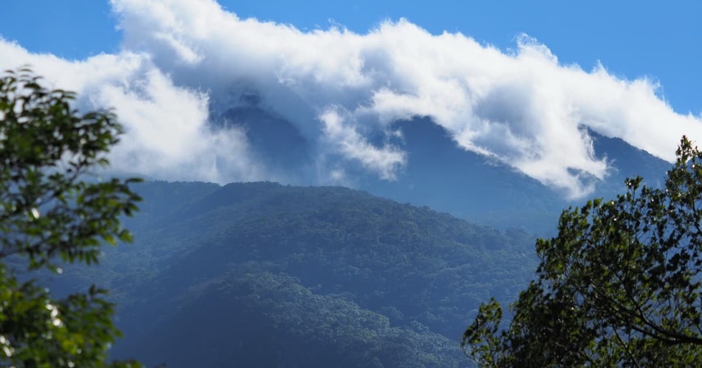 Manyueyuan National Forest, Taiwan
