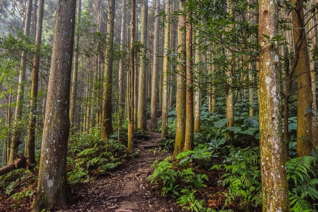 Manyueyuan National Forest Recreation Area