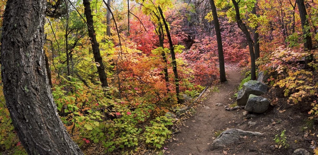 Manzano Mountains, New Mexico