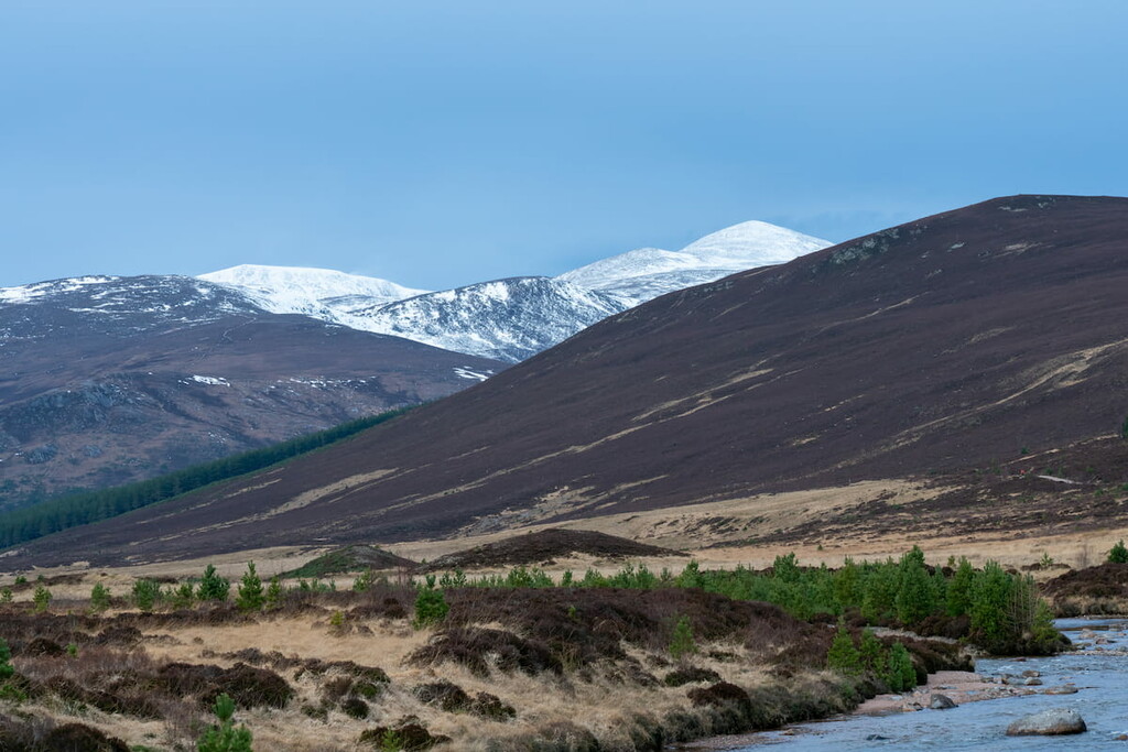 Derry Cairngorm, Mar Lodge Estate National Nature Reserve, Scotland