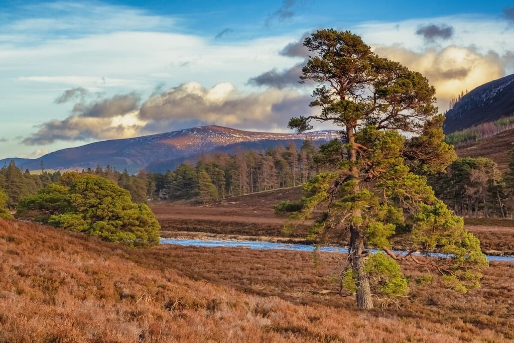 Linn O' Dee, Mar Lodge Estate National Nature Reserve, Scotland