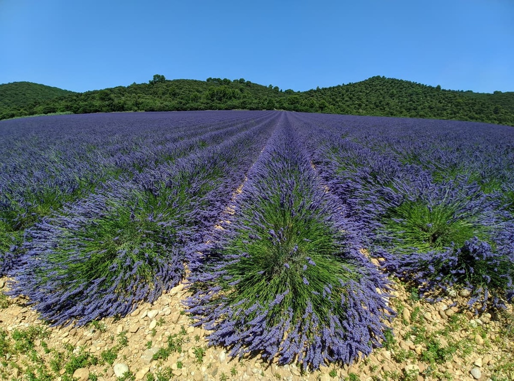 Mont Pelat, Maritime Alps, France