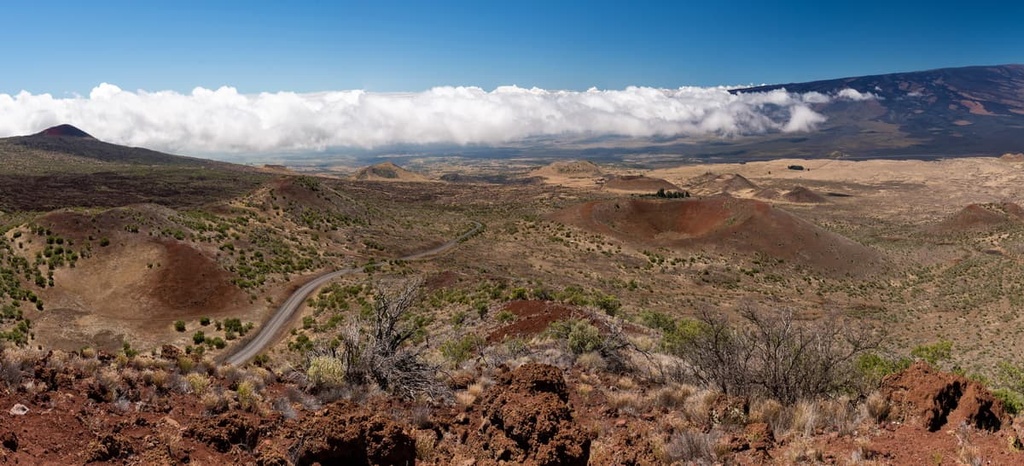 Mauna Kea Forest Reserve