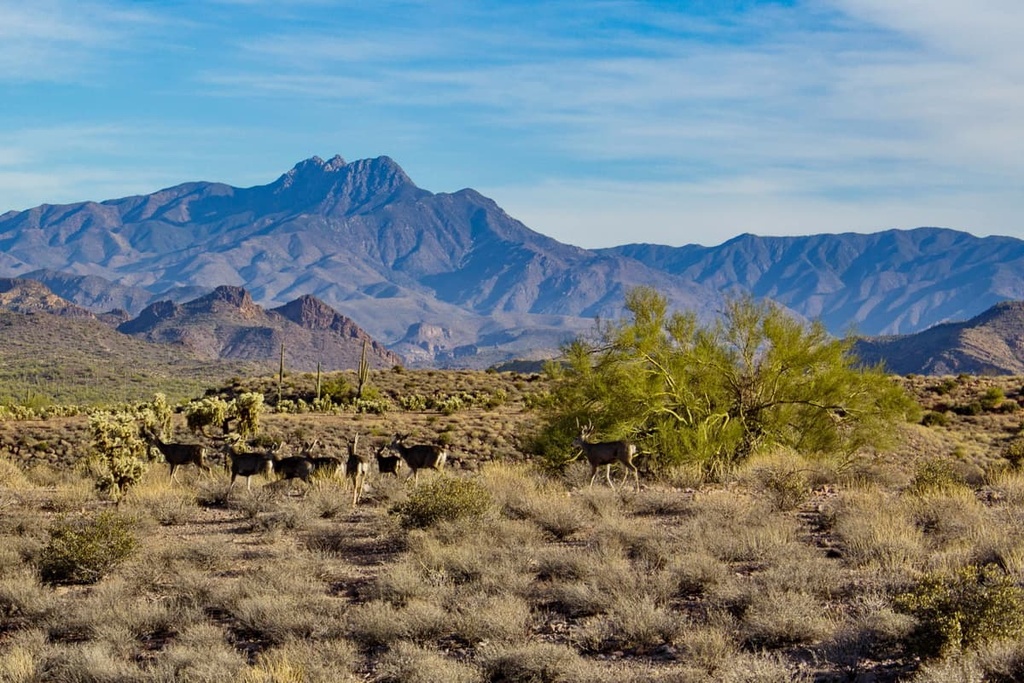 Mazatzal Wilderness, Arizona