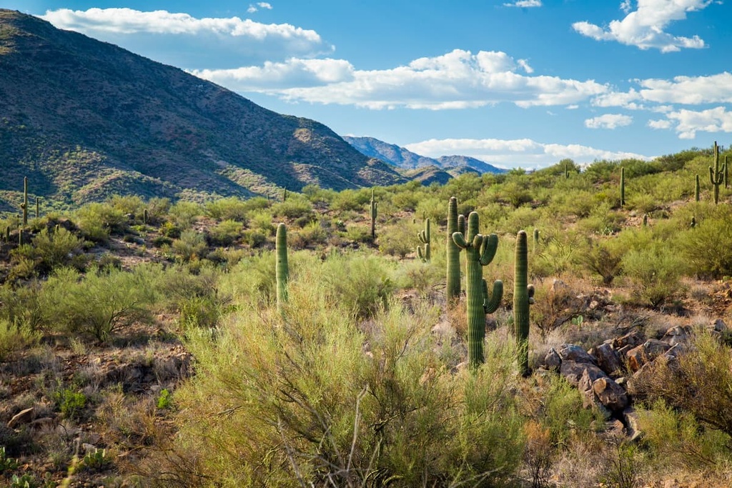 Mazatzal Wilderness, Arizona