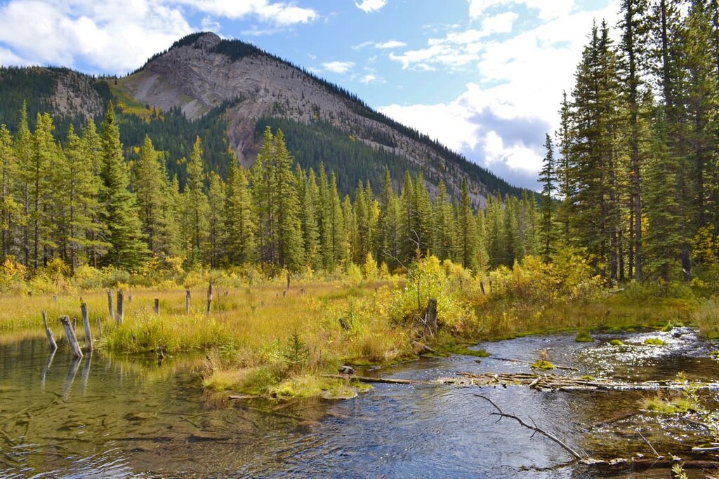 Iyarhe Ipan, McLean Creek Public Land Use Zone, Alberta
