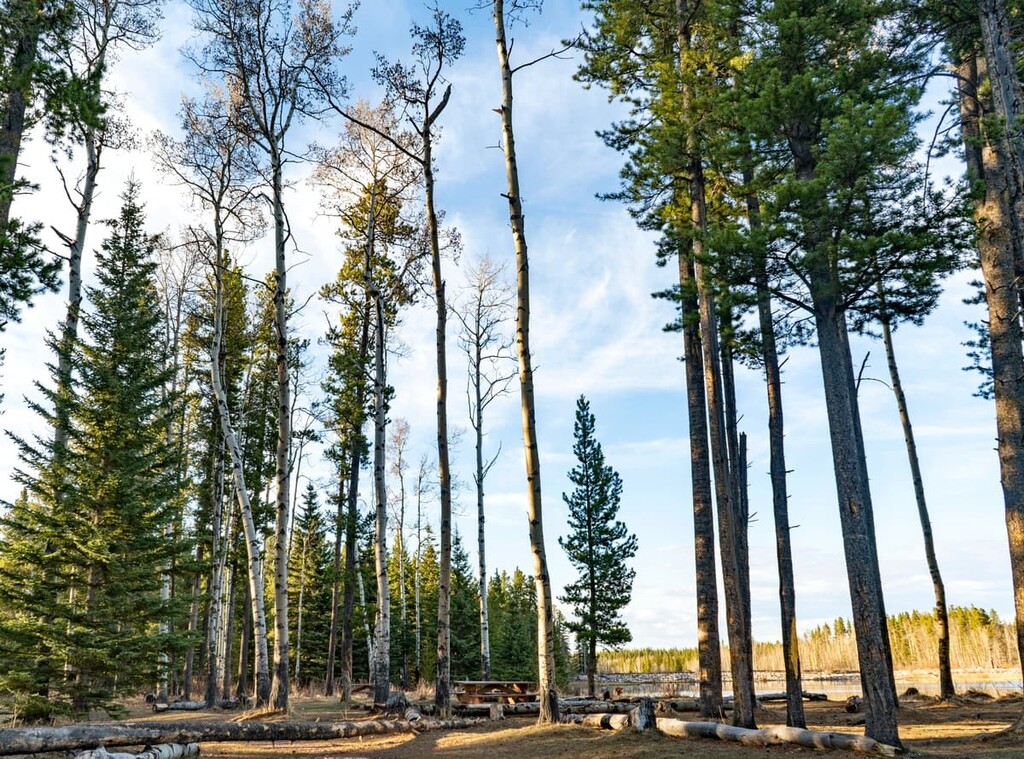 McLean Creek Public Land Use Zone, Alberta