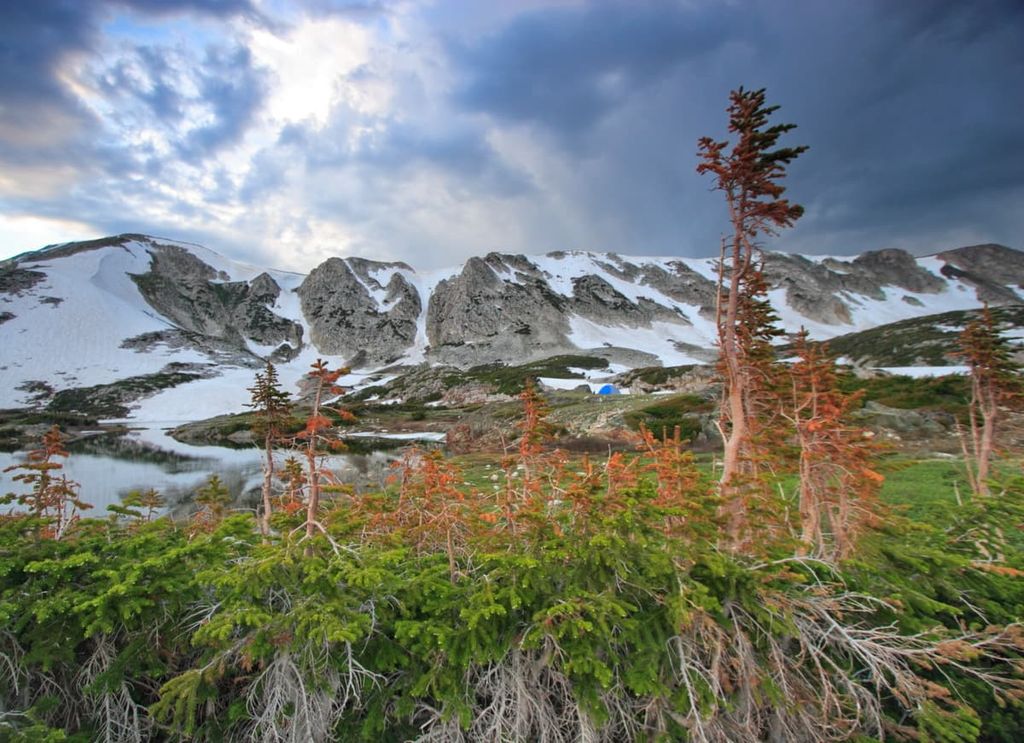 Medicine Bow National Forest