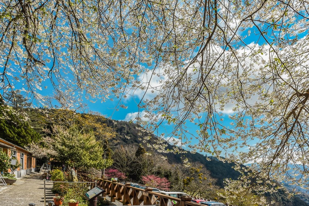 Guanwu National Forest, Miaoli County, Taiwan