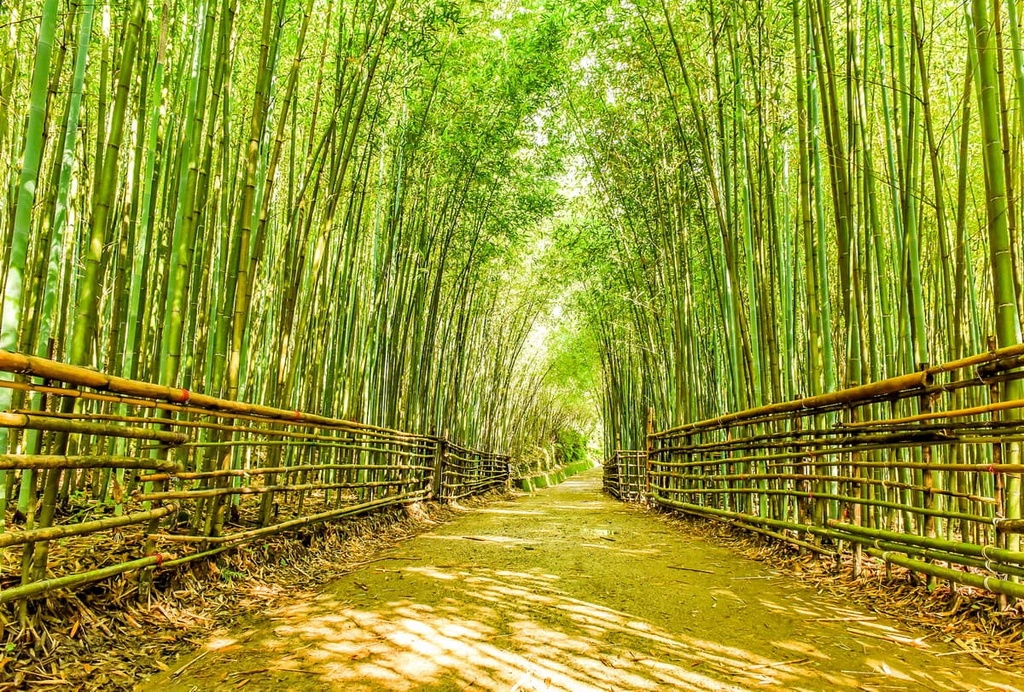 Miaoli County, Taiwan