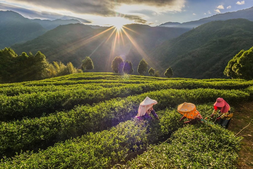Tai’an Township, Miaoli County, Taiwan