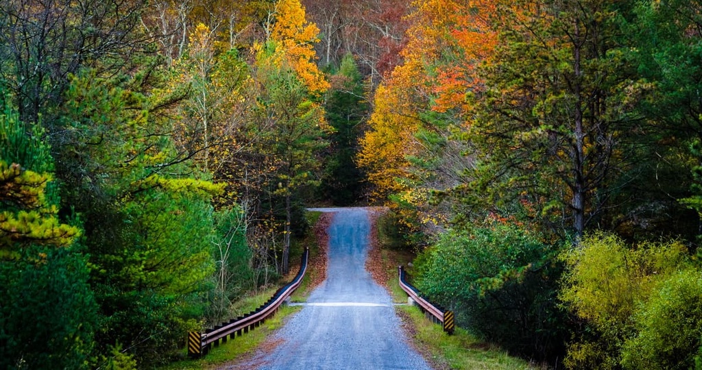 Michaux State Forest, Pennsylvania
