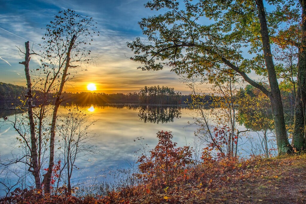 Rifle River State Recreation Area, Michigan
