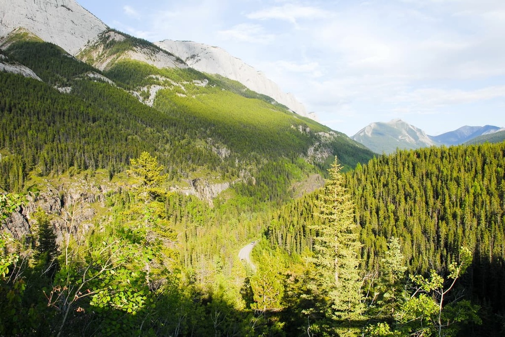Miette Range, Alberta