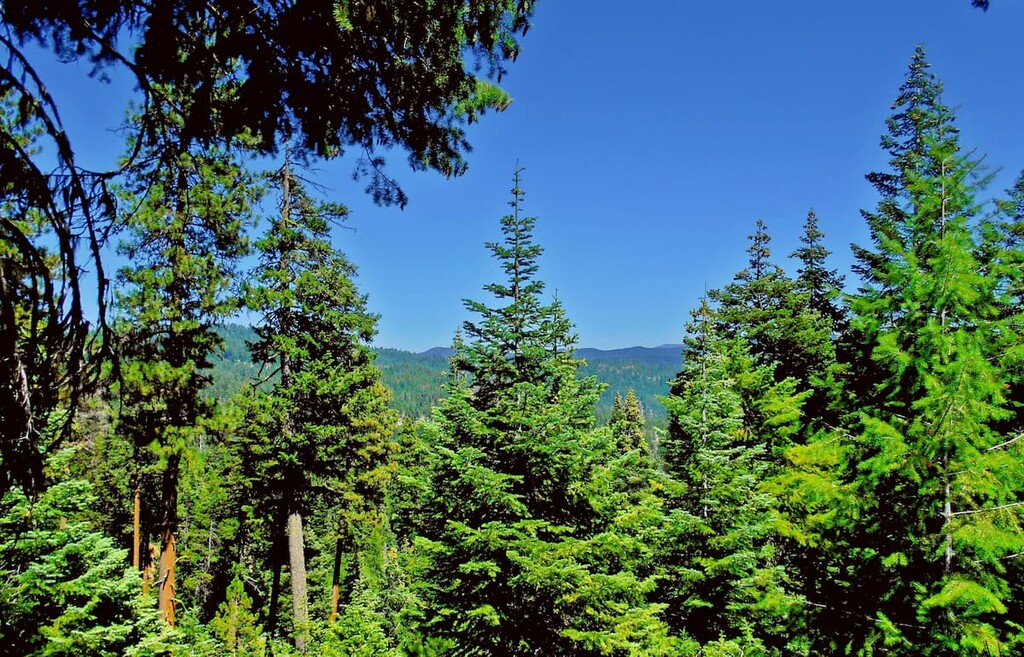 Mill Creek Wilderness