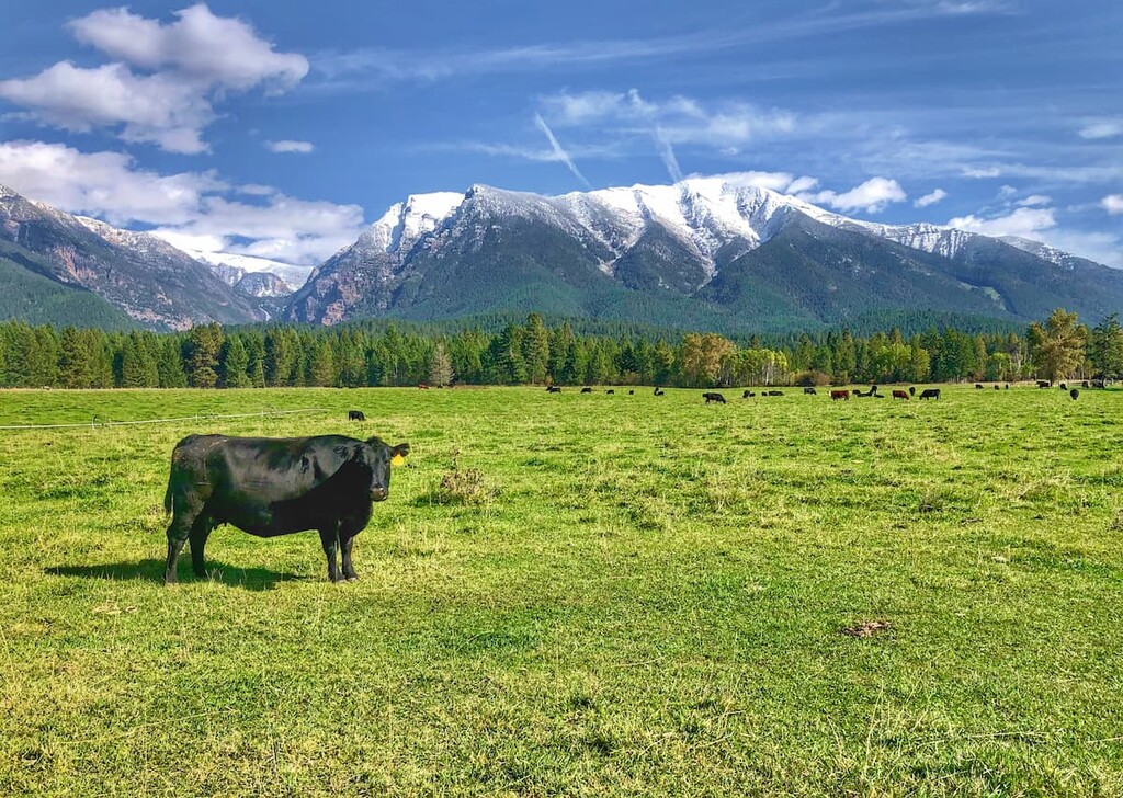 Mission Mountains Tribal wilderness, Montana