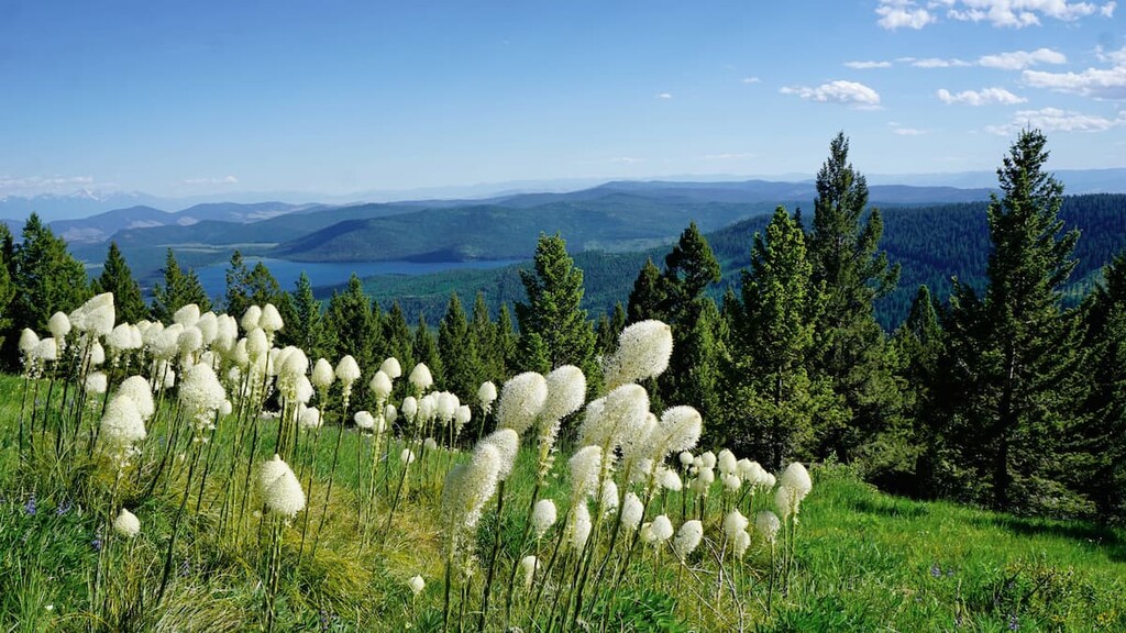  Mission Mountains Tribal wilderness, Montana