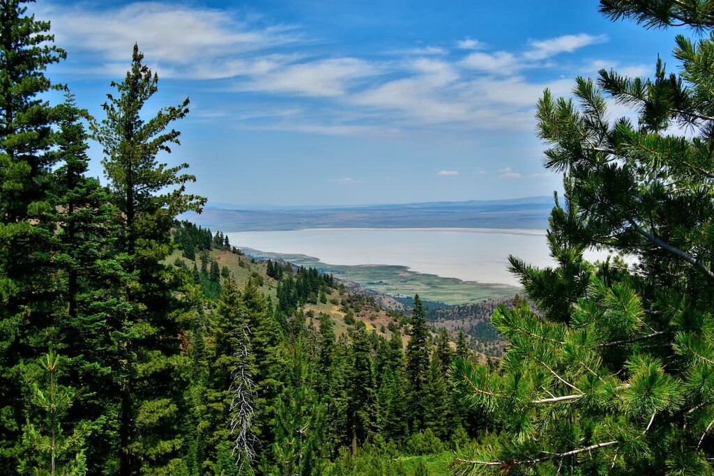 Modoc National Forest
