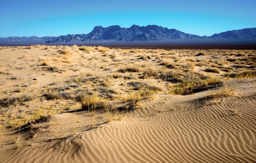Desert Dunes, Mojave National Preserve, California