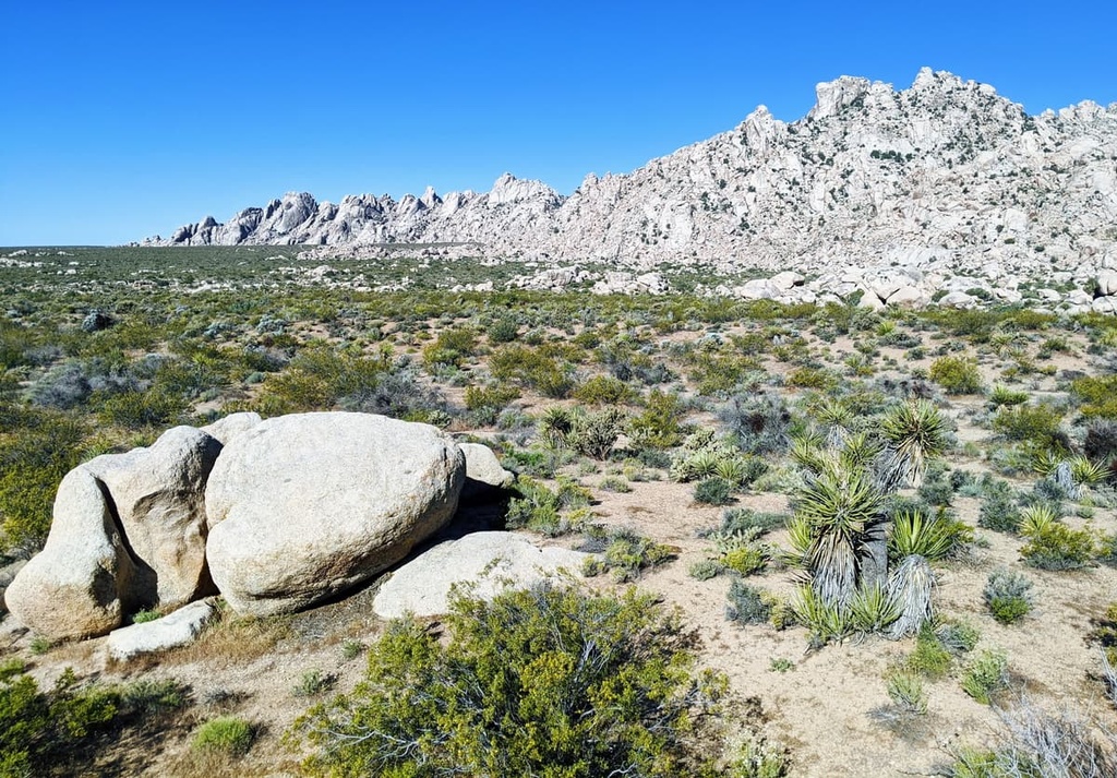 Granite Peak, Mojave Wilderness, California