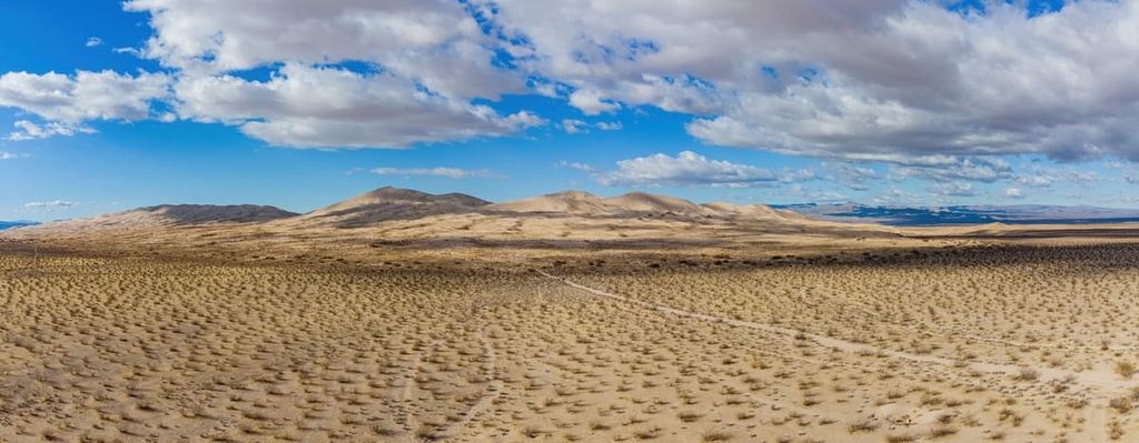 Kelso Dunes  Mojave Wilderness, California