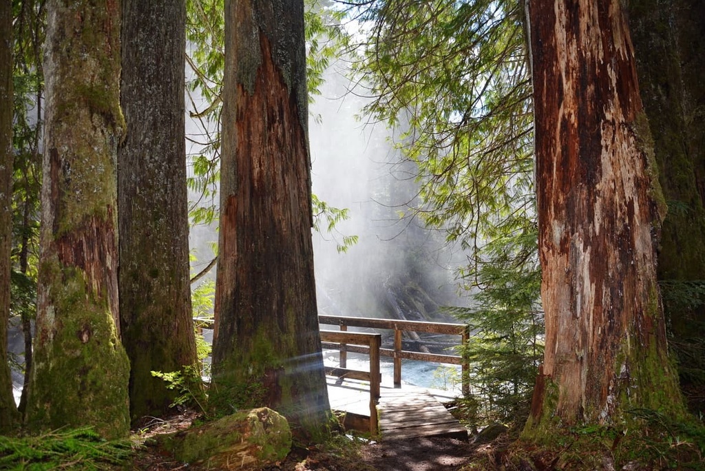 Monashee Provincial Park, British Columbia