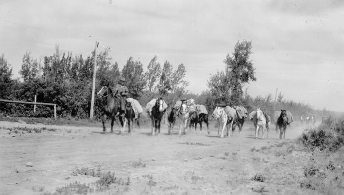 A pack horse train leaving Hazelmere for Monkman Pass in 1941. Monkman Provincial Park
