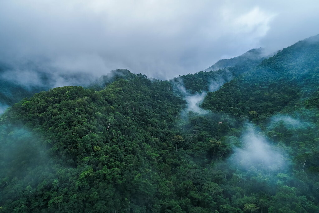 Montecristo National Park, El Salvador