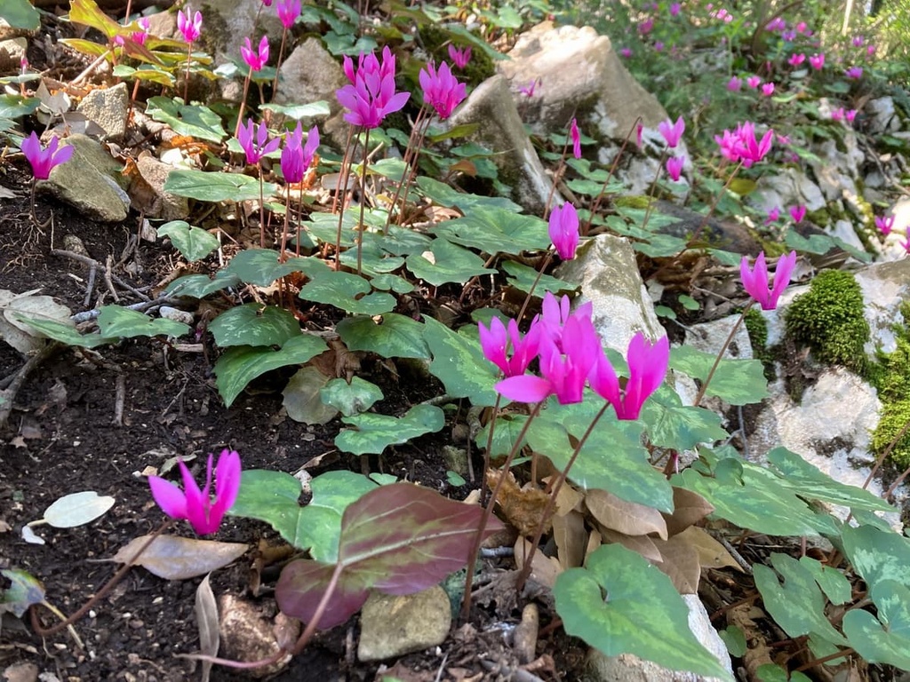 Monti Aurunci Nature Park, Lazio, Italy