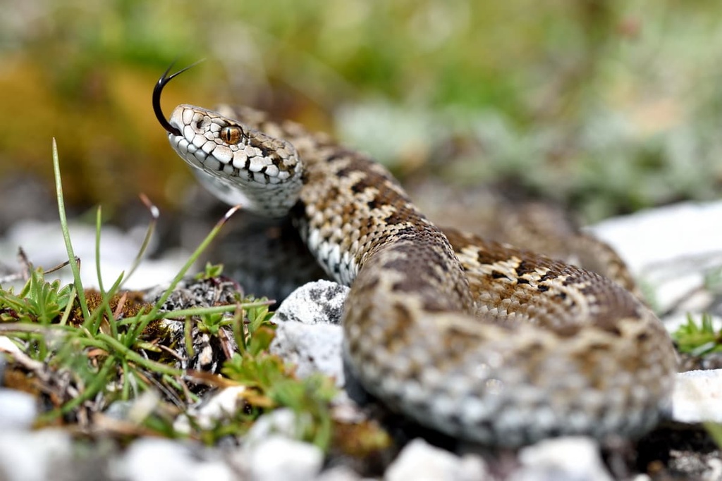 Monti Sibillini National Park, Italy