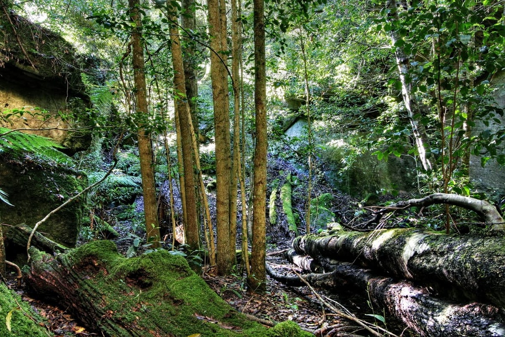 Morton National Park, New South Wales, Australia