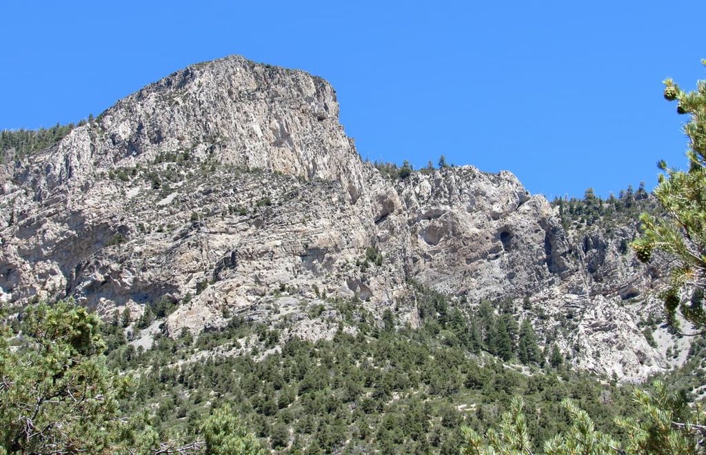 Fletcher Canyon, Mount Charleston Wilderness, Nevada