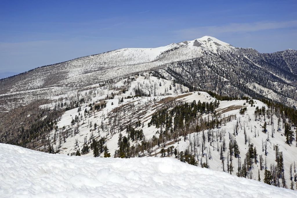 Griffith Peak, Mount Charleston Wilderness, Nevada