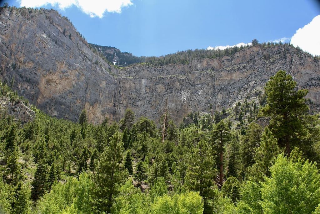 Mount Charleston Wilderness Area