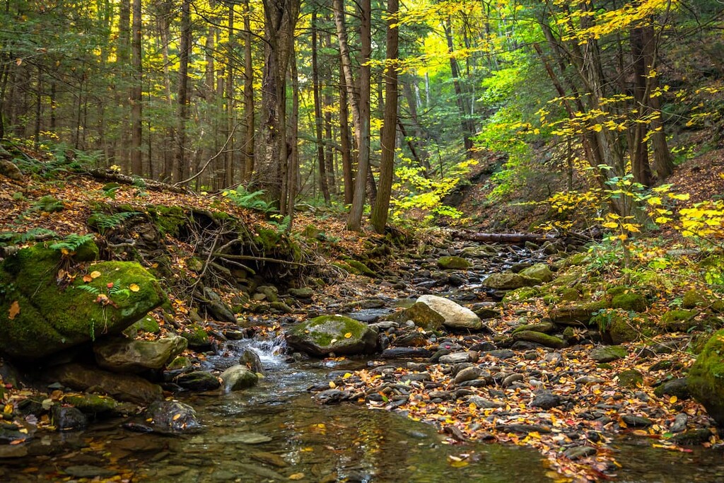 Mount Greylock State Reservation