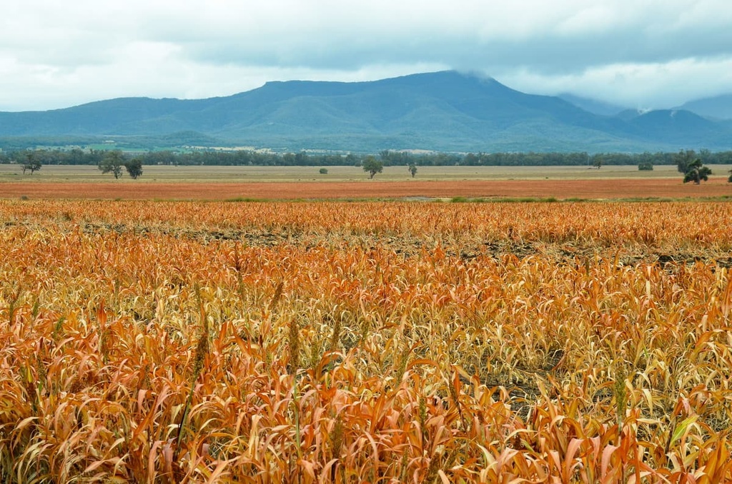 Mount Kaputar National Park, Australia